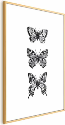 Produktbild von Posterpapier Poster - Three Butterflies 21x30 cm Tiere g-B-0116-ao-a