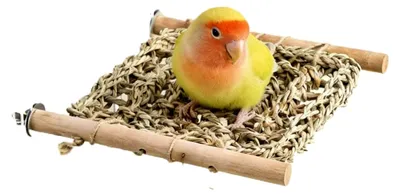 Produktbild von Vogelleiter für Käfig, Holzspielstand für Sittiche, Spielzeug mit Kletterbrücke und Sitzstange aus Holz für Papageien