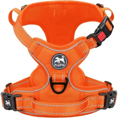 Produktbild von Hundegeschirr Orange L Reflektierend Kein Ziehen Verstellbar Gepolstert mit Griff