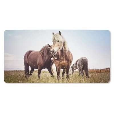 Obrázok produktu pre Podložka pod myš - Kone - tráva - jar - 80x40cm - Rohožka pod myš