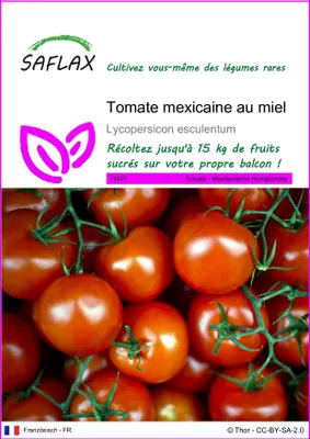 Image de SAFLAX  - Tomate mexicaine au miel - 10 graines - Lycopersicon