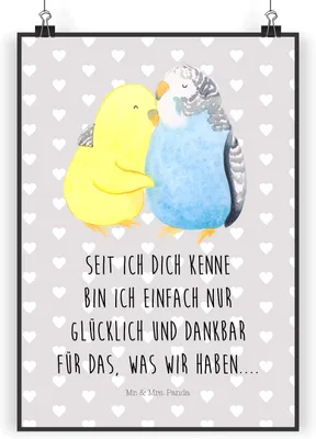 Produktbild von Mr. & Mrs. Panda Bild Wellensittich Liebe DIN A3 - Grau Pastell - Geschenk, Umarmung, Verknallt, Plakat, drucke, Wandbild, Deko, Umarmen, Vögel, Freundin, wanddeko