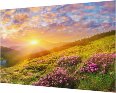 Zdjęcie produktu dla Tapeta ścienna – tapeta dekoracyjna do salonu – folia tapetowa do dekoracji ścian – 152 x 104 cm – Bergwesten