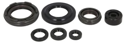 Obrázek produktu pro Sada těsnění motoru ATHENA P400485400351