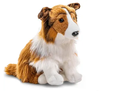 Zdjęcie produktu dla Pluszowy Collie 30 cm