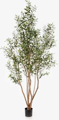 Produktbild von artplants.de Künstlicher Baum Olive JALO mit Früchten, Echtstamm, grün, 220cm - Kunst Olivenbaum