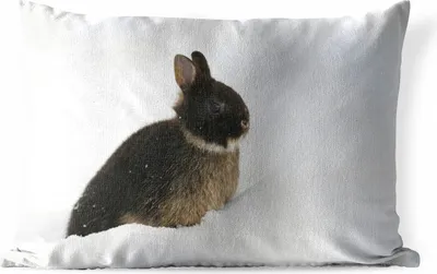 Produktbild von MuchoWow® Outdoor Kissen - Kaninchen - Schnee - Winter - 60x40 cm - Wetterfest - Lounge Kissen - Zierkissen - Kissen für Innenräume