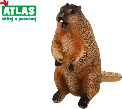 Zdjęcie produktu dla A - Figurka świstaka 7,5 cm