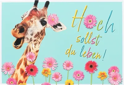 Produktbild von Cartolini Klappkarte mit Sprüchen 065