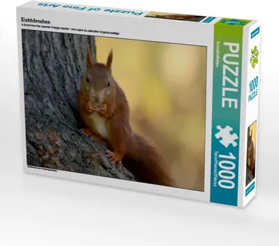 Produktbild von Calvendo Eichhörnchen 1000 Teile Puzzle quer 640x480mm, CALVENDO; 7429950