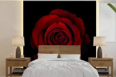 Produktbild von MuchoWow® Fototapete für Wohnzimmer oder Schlafzimmer Wandtapete Vinyl Motivtapete Rosa - Rot - Schwarz - 240x240 cm - Schlafzimmer-Tapete