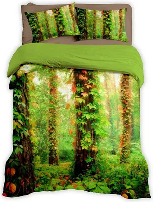 Produktbild von Traumschlaf Bettwäsche Waldlichtung 155x220 cm + 80x80 cm