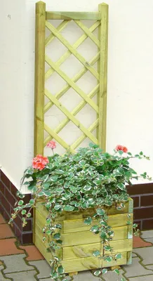 Produktbild von Blumenkasten mit Rankgitter Alata 1 - Abmessung: 40 x 40 x 140 cm (B x T x H)