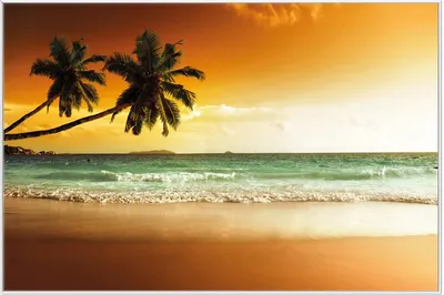 Produktbild von Wallario Wandbild Palmen am Sandstrand bei untergehender Sonne, Größe: 61 x 91,50 cm, Poster mit weißem Aluminiumrahmen