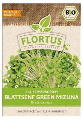 Artikelbild 1 von 'BIO Keimsprossen Blattsenf Green Mizuna' aus der Kategorie Keimsprossen