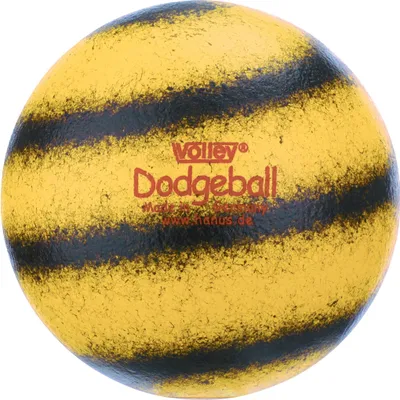 Produktbild von Volley Weichschaumball "Dodgeball"