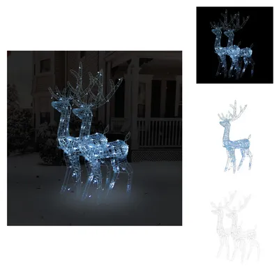 Image de vidaXL Rennes LED 2 pcs. Acrylique 120 cm Blanc Froid - Eclairage de Noël