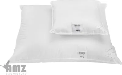 Immagine prodotto di Cuscino in piuma d'oca 100% 70x80 ROYAL 600g Esclusivo