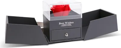 Produktbild von Ewige Rose in edler Geschenkbox mit Kette – Schwarz – 10,2 x 9,8 x 11 cm 1 Stück [DA01201]