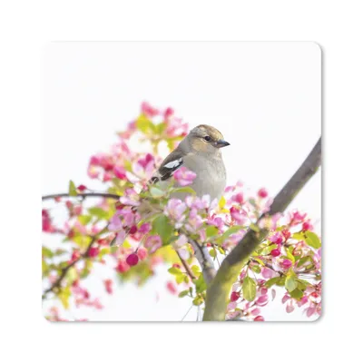 Produktbild von MuchoWow® Mauspad Mousepad Vogel zwischen rosa Blumen 20x20 cm - Mousepads - Maus Mat - Pad - Mausunterlage - Desk Mat - Bureauartikeln