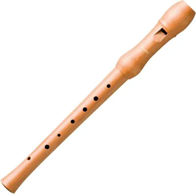 Immagine prodotto di Hohner B9531 Flauto dolce soprano