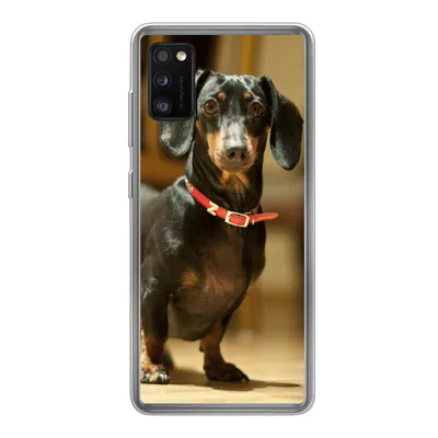 Produktbild von MuchoWow® Handyhülle Schutzhülle Hülle für Samsung Galaxy A41 Porträt eines schwarzen Dackels Silikon Softcase Handy Hülle - Mobiltelefon