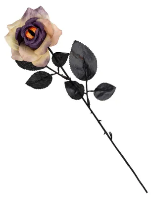 Produktbild von Verwelkende Rose mit Drachenauge in der Blüte 42 cm, KI-generiertes Bild