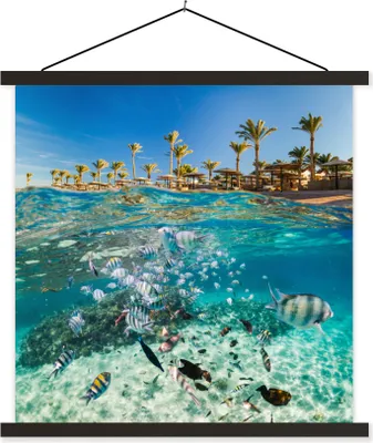 Produktbild von MuchoWow® Textilposter Meer - Fisch - Ägypten 60x60 cm mit schwarzem Rahmen - Posteraufhänger