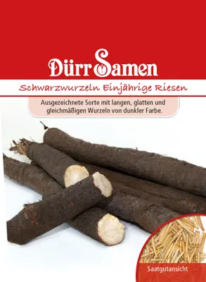 Produktbild von Schwarzwurzel Einjährige Riesen | Schwarzwurzelsamen von Dürr Samen
