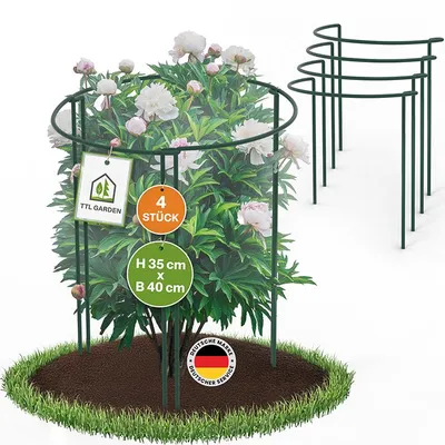 Produktbild von TTL GARDEN Strauchstützen 4er Set 35x40cm Pflanzenstütze Stahl grün rostfrei