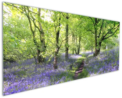 Produktbild von Wallario Küchenrückwand aus Glas, Größe: 125 x 50 cm, Motiv: Blaues Hasenglöckchen im Wald | Spritzschutz | abwischbar | pflegeleicht | in