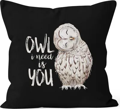 Produktbild von Kissenbezug Owl I need is you All i need is you Liebe Spruch Love Quote lustig verliebt Freund Freundin Kissen-Hülle Deko-Kissen 40x40 Baumwolle MoonWorks® schwarz 40cm x 40cm