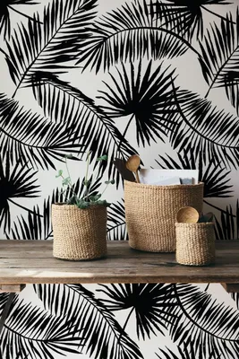 Produktbild von Coloray Fototapete 312x219 cm Vlies-Fototapete - Minimalistische Palmblätter