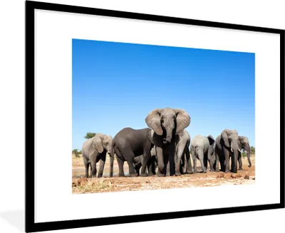 Produktbild von MuchoWow® MuchoWow® Gerahmtes Poster Elefanten - Tiere - Wasser 90x60 cm - Poster mit zchwarzem Bilderrahmen - Wanddekoration - Fotos