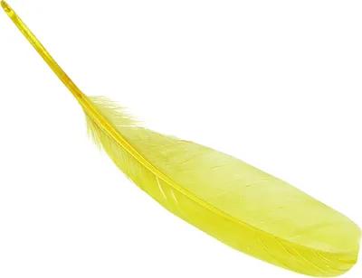 Produktbild von KNORR PRANDELL 216620051 Gänsefedern ca. 16 - 21 cm gelb