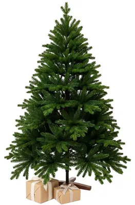 Image de Sapin de Noël VIVANNO en polyéthylène NORDMANN 210, forme arrondie, vert naturel - 142 x 210 cm