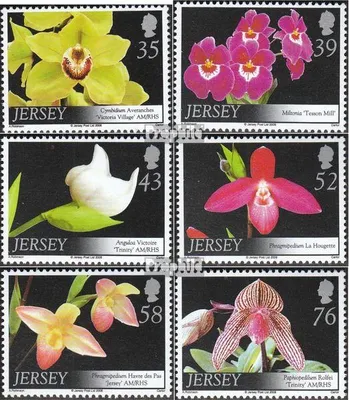 Produktbild von Briefmarken GB - Jersey 2008 Mi 1350-1355 (kompl.Ausg.) postfrisch Orchideen