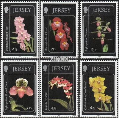 Produktbild von Briefmarken GB - Jersey 1999 Mi 877-882 (kompl.Ausg.) gestempelt Orchideen