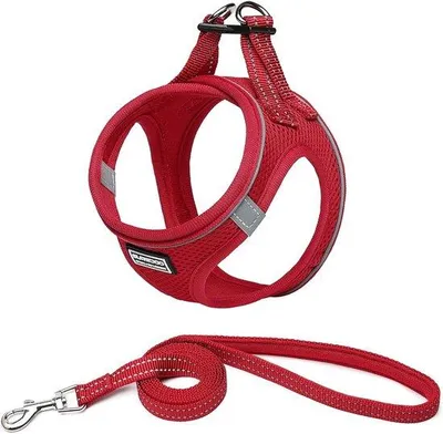 Produktbild von Hundegeschirr mit Leine, reflektierendes Brustgeschirr für kleine Hunde, Katzen und Welpen (Rot, Größe L)