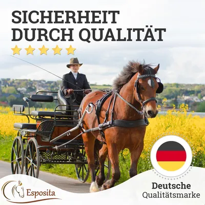 Produktbild von Esposita Einspännergeschirr "Professional" Schwarz-Hellbraun Gr. Shetty