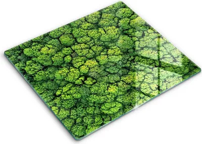 Produktbild von Abdeckung Glas - Küchenabdeckung - 60x52 cm - Abdeckplatte -Naturmoospflanze
