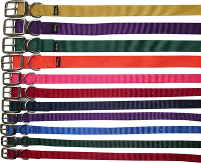 Produktbild von Hundehalsband Prism Choice aus Nylon 2,5 cm breit Halsband für Hunde  Halsband Hund in Rot & 23