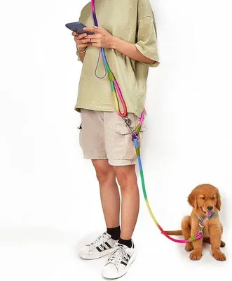 Image de Famanu : Laisse mains libres pour chien, 220 cm, nylon, portée en bandoulière