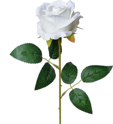 Produktbild von Clayre & Eef 6PL0317W Kunstblume Rose weiß grün Ø 8x52 cm