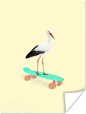 Produktbild von MuchoWow® Poster Storch - Weiß - Tiere - Skateboard - Schwarz 90x120 cm - Wohnzimmer