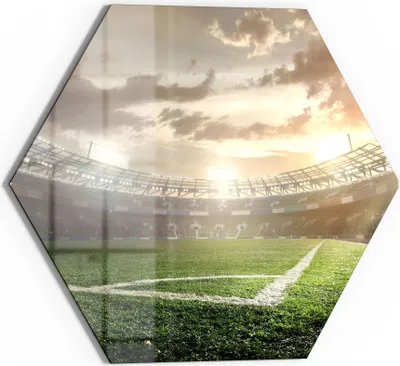 Produktbild von DEQORI Glasbild Echtglas 40x35 cm 'Rasenecke im Stadion' Wandbild Bild modern Deko