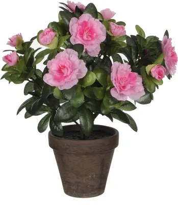 Immagine prodotto di Decorazioni in mica Azalea Kunstpflanze, Poliestere, Rosa, 20 x 20 x 27 cm