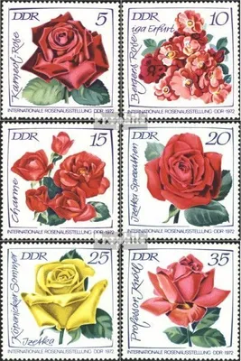 Produktbild von Briefmarken DDR 1972 Mi 1763-1768 (kompl.Ausgabe) postfrisch Internationale Rosenausstellung (I)