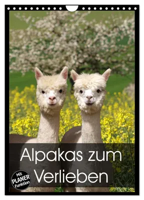 Produktbild von Alpakas zum Verlieben (Wandkalender 2027 DIN A4 hoch), CALVENDO Monatskalender