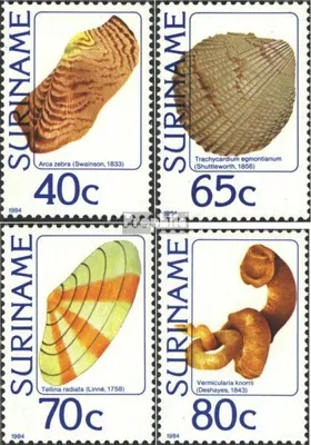 Produktbild von Briefmarken Suriname 1984 Mi 1071-1074 (kompl.Ausg.) postfrisch Muscheln